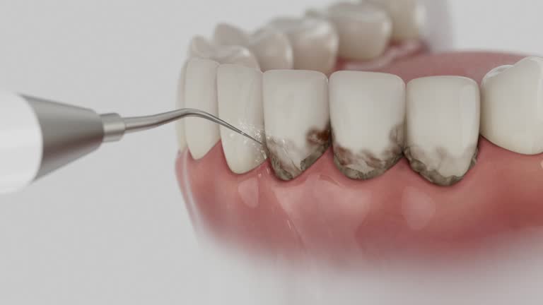 Reliable Dental contractor in Wharton, TX by Dentist Open Now